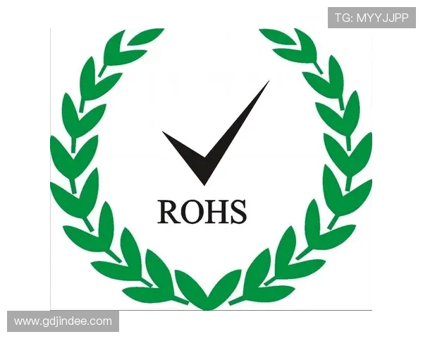 全面解析PP电子的安全保障措施确保玩家资金与信息安全的详细指南